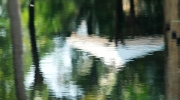amansara6