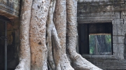 siemreap-2
